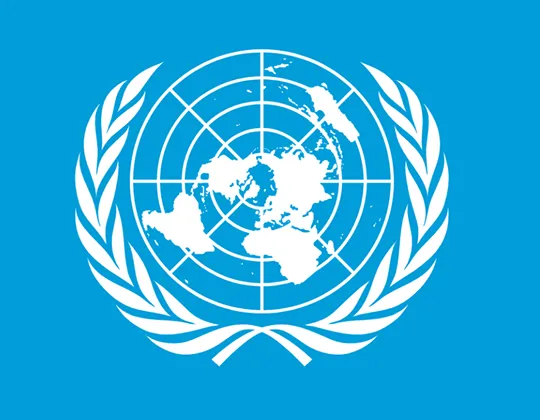Card - Logo ONU