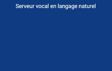 Vignette bleue indiquant serveur vocal en langage naturel